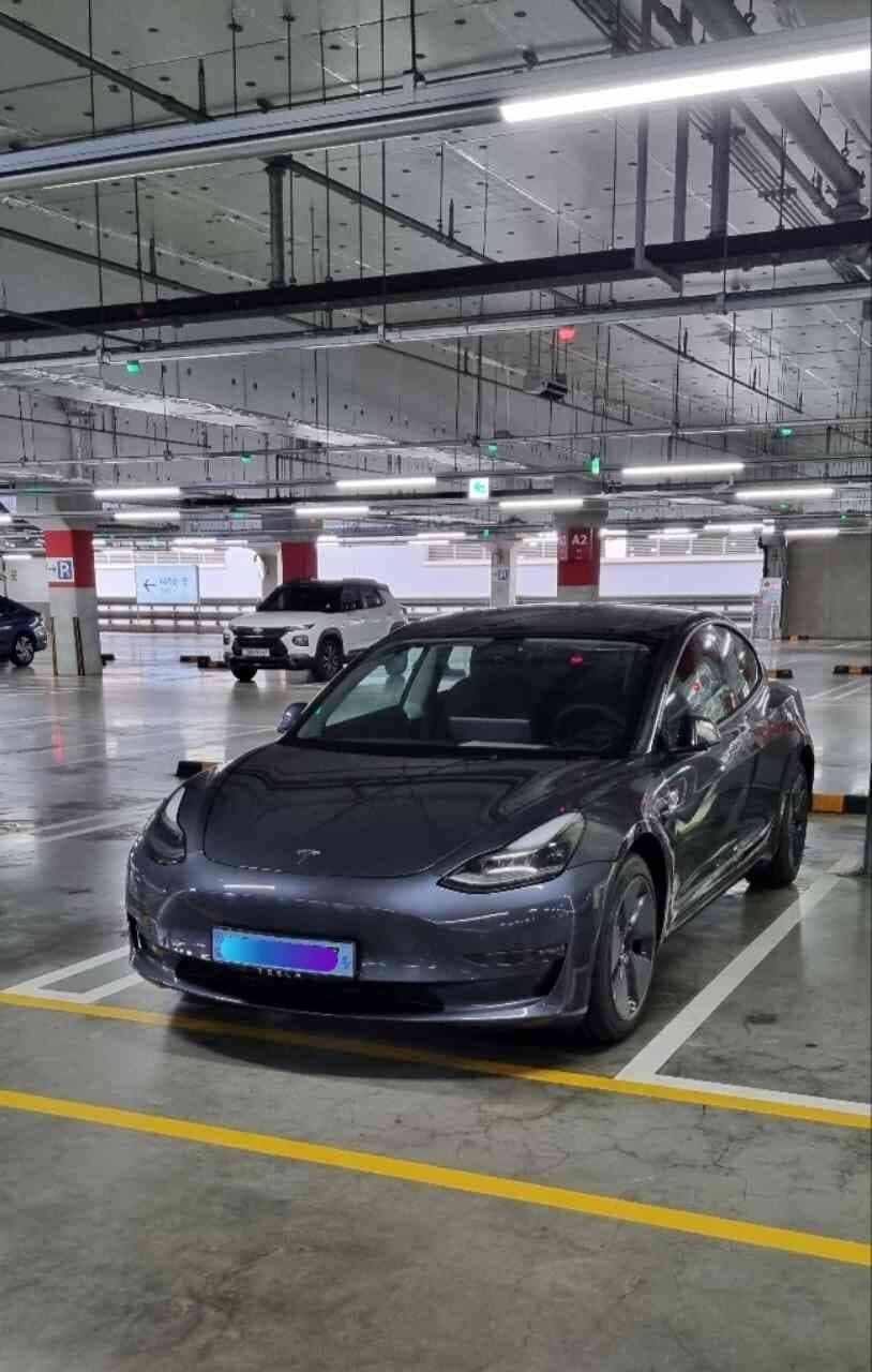 테슬라 모델 3 롱레인지 게시글 썸네일