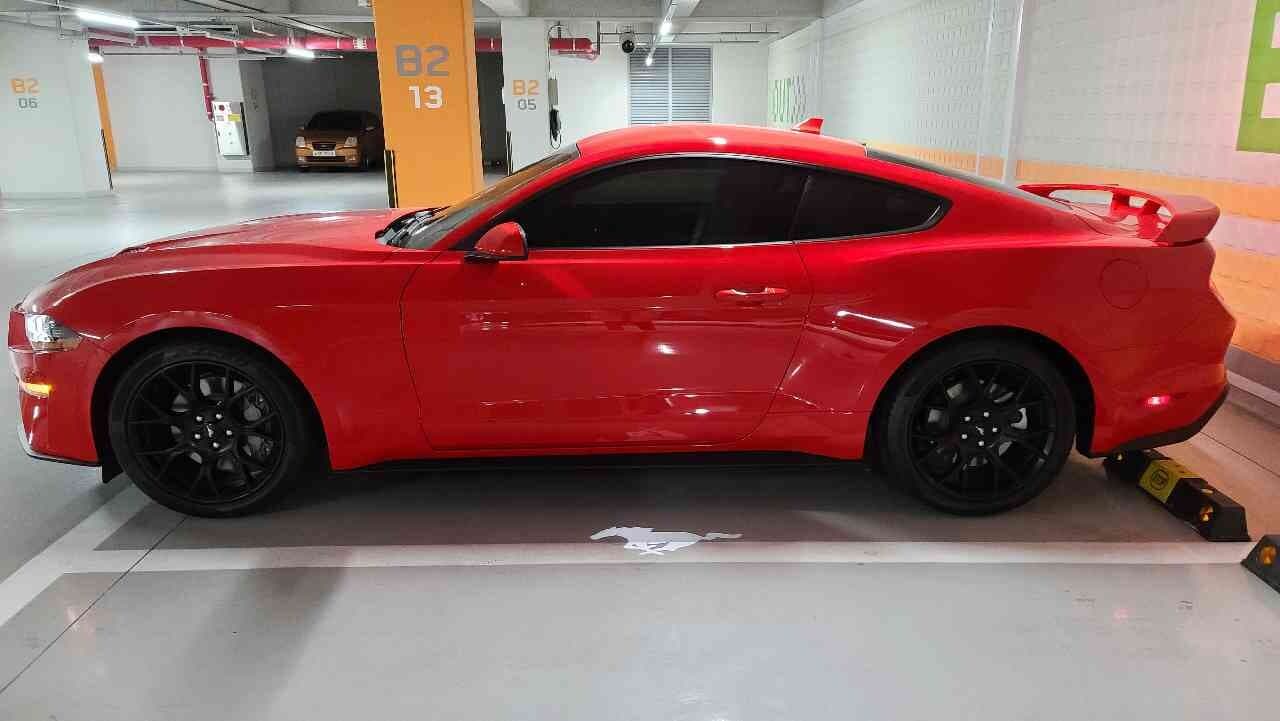 포드 머스탱 2.3 에코부스트 프리미엄 쿠페 게시글 썸네일