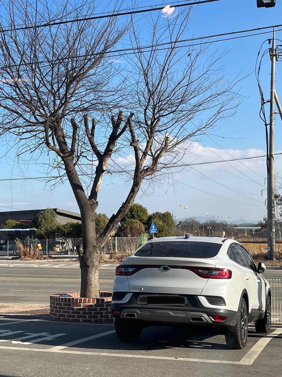 르노코리아 XM3 TCe 260 인스파이어 게시글 썸네일