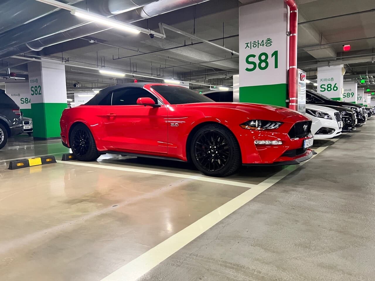 포드 머스탱 5.0 GT 프리미엄 컨버터블 게시글 썸네일