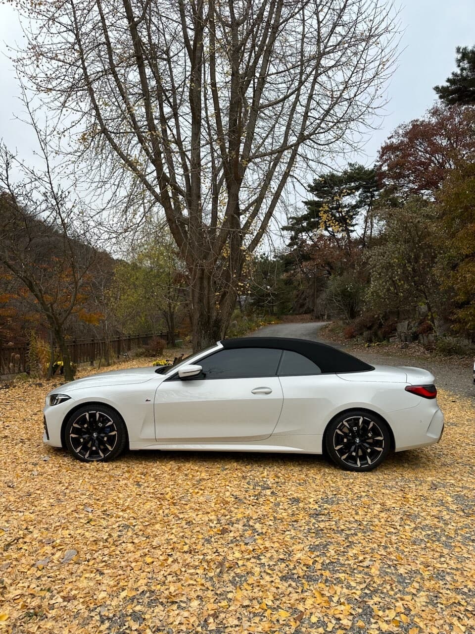 BMW 4시리즈 420i 컨버터블 M 스포츠 게시글 썸네일