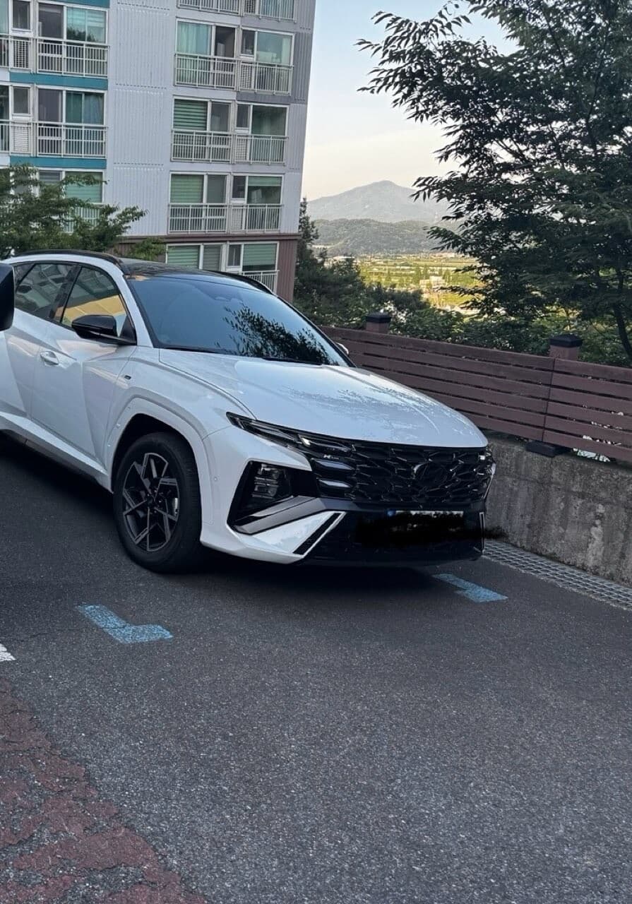 투싼 하이브리드 인스퍼레이션 N라인 awd 출고 게시글 썸네일