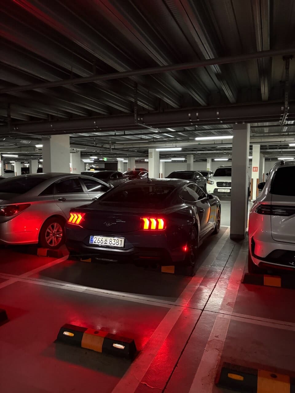 7세대 머스탱 에코를 고민한다면 게시글 썸네일