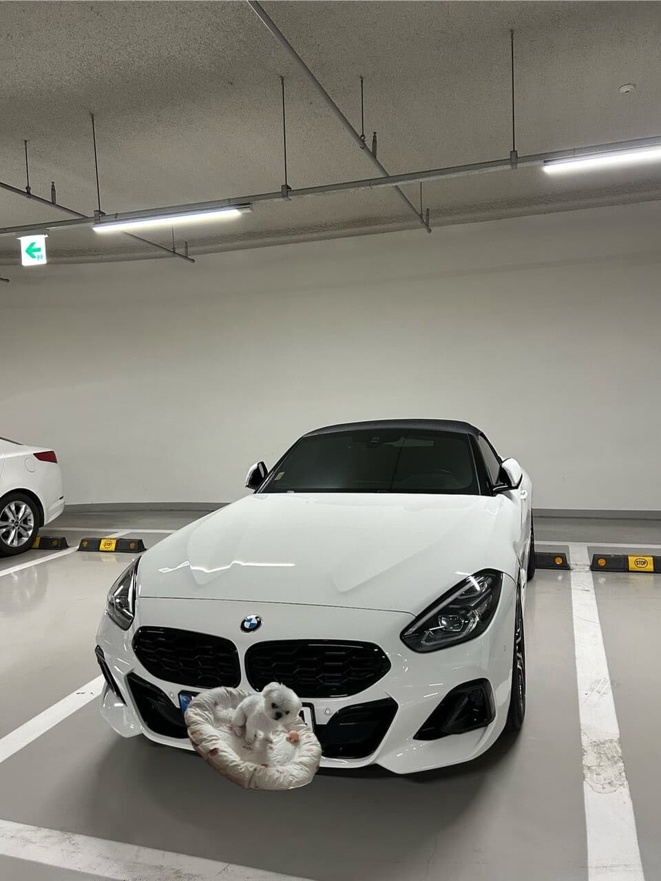 z4 20i msp 게시글 썸네일