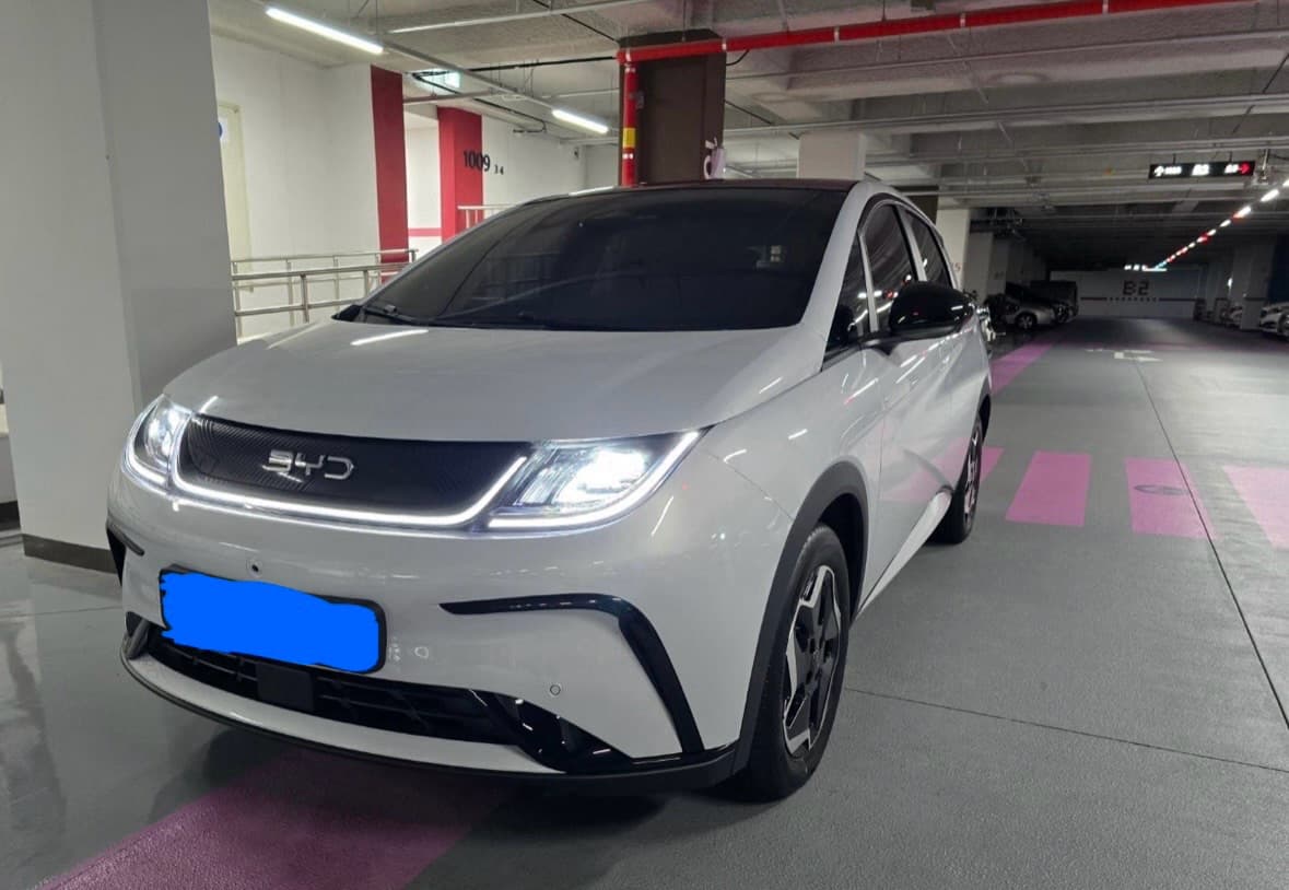 BYD 돌핀 게시글 썸네일