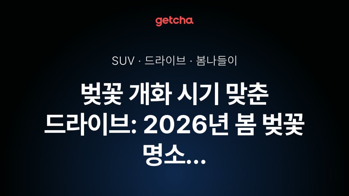벚꽃 개화 시기 맞춘 드라이브: 2026년 봄 벚꽃 명소 SUV 추천