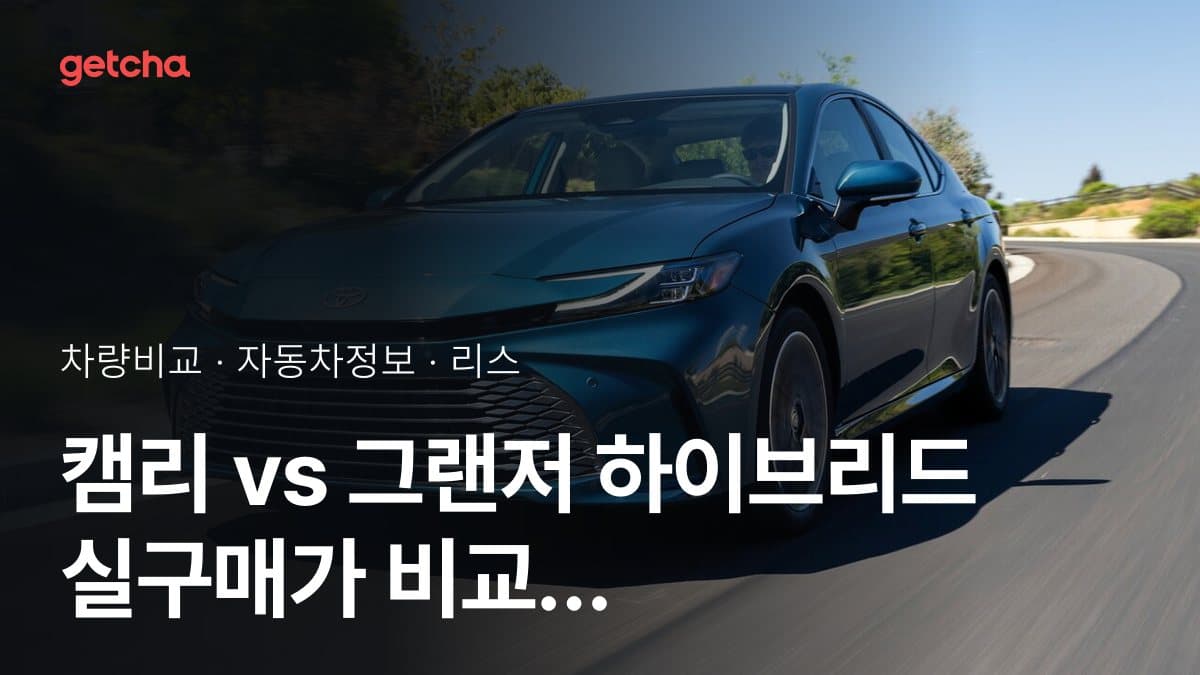 캠리 vs 그랜저 하이브리드 실구매가 비교 (2026년 9월)