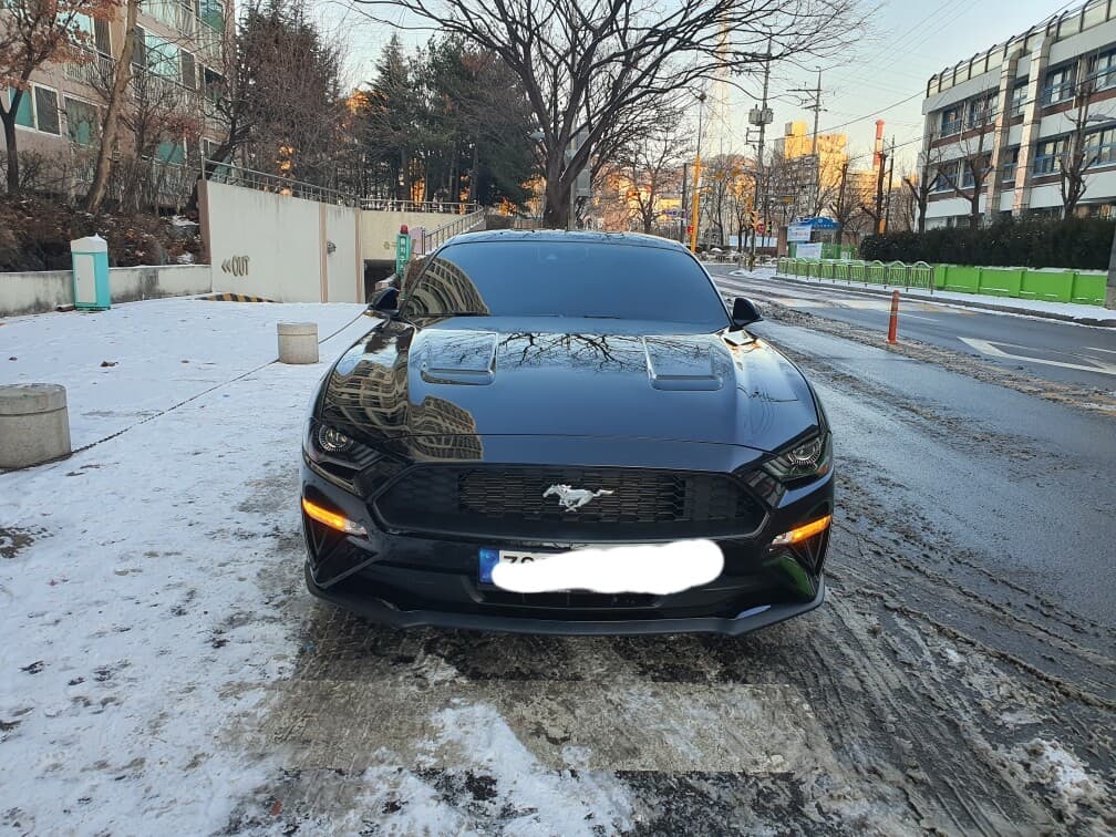 포드 머스탱 2.3 에코부스트 프리미엄 쿠페 게시글 썸네일